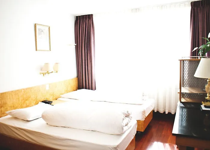 Rugs - Self Check-in 뒤셀도르프